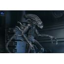 Aliens Ultimate Figura Warrior (1986) Xenomorph Black (40th Anniversary) 23 cm