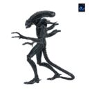 Aliens Ultimate Figura Warrior (1986) Xenomorph Black (40th Anniversary) 23 cm