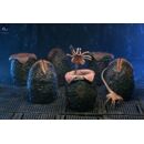 Aliens Pack de 6 Accesorios Carton of Alien Eggs (40th Anniversary)