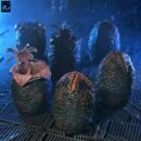 Aliens Pack de 6 Accesorios Carton of Alien Eggs (40th Anniversary)