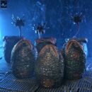 Aliens Pack de 6 Accesorios Carton of Alien Eggs (40th Anniversary)
