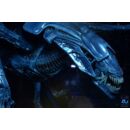 Aliens Ultra Deluxe Figura Alien Queen (40th Anniversary) 38 cm