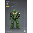 Warhammer 40,000 Figura Salamanders Intercessor 12 cm