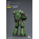 Warhammer 40,000 Figura Salamanders Intercessor 12 cm