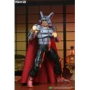 Teenage Mutant Ninja Turtles (Mirage Comics) Action Figure Savanti Romero Warlord 18 cm
