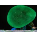 Metroid Prime PVC Figure Metroid (Standard) (Glow in the Dark) 21 cm