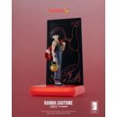 Ranma Figura 1/9 Neon Ranma Saotome Boy 20 cm
